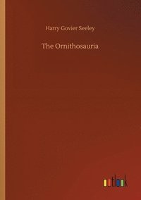 bokomslag The Ornithosauria