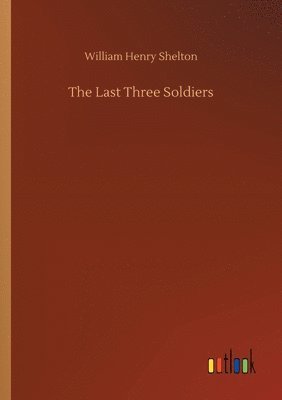 bokomslag Last Three Soldiers