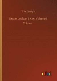 bokomslag Under Lock and Key, Volume I