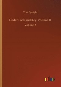 bokomslag Under Lock and Key, Volume II