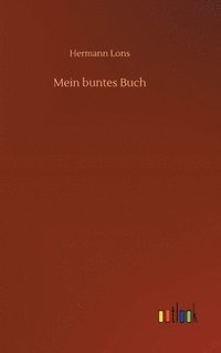 bokomslag Mein buntes Buch