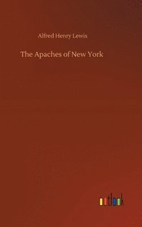 bokomslag The Apaches of New York