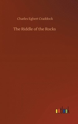 bokomslag Riddle of the Rocks