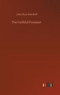 bokomslag Faithful Promiser