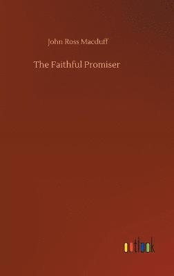 bokomslag The Faithful Promiser