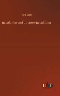 bokomslag Revolution and Counter-Revolution