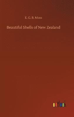 bokomslag Beautiful Shells of New Zealand