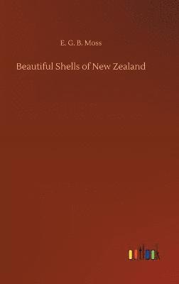 Beautiful Shells of New Zealand