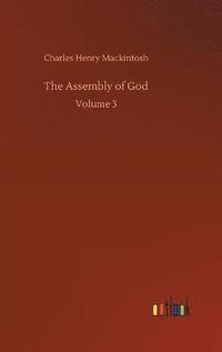 bokomslag The Assembly of God
