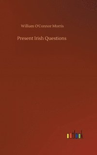 bokomslag Present Irish Questions