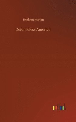 bokomslag Defenseless America