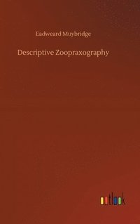 bokomslag Descriptive Zoopraxography