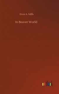 bokomslag In Beaver World