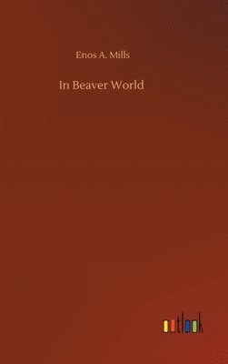 bokomslag In Beaver World