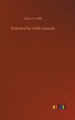 Watched by Wild Animals 1