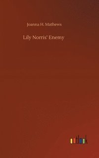 bokomslag Lily Norris' Enemy