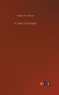 bokomslag A Year in Europe