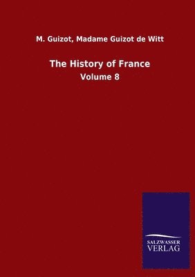 bokomslag The History of France