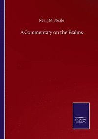 bokomslag Commentary on the Psalms