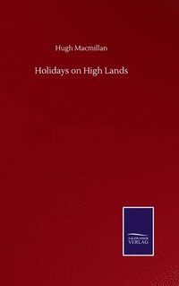 bokomslag Holidays on High Lands