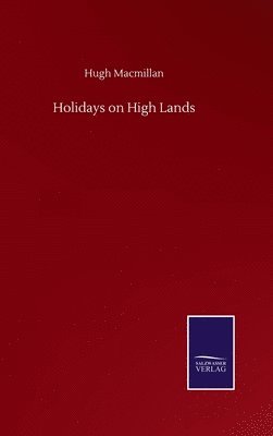 bokomslag Holidays on High Lands