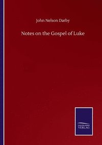 bokomslag Notes on the Gospel of Luke