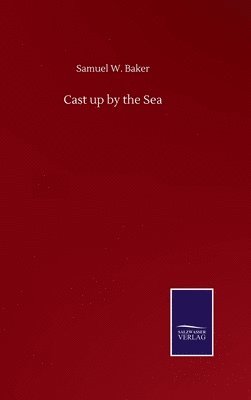 Cast up by the Sea