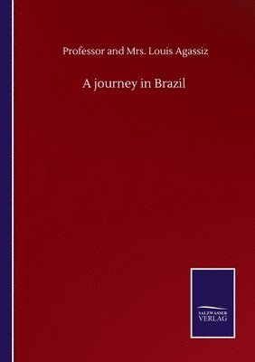 A journey in Brazil 1