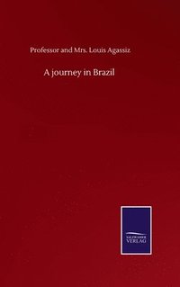 bokomslag A journey in Brazil
