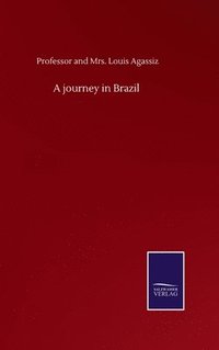 bokomslag journey in Brazil