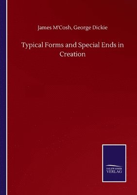 Typical Forms and Special Ends in Creation