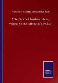 bokomslag Ante-Nicene Christian Library