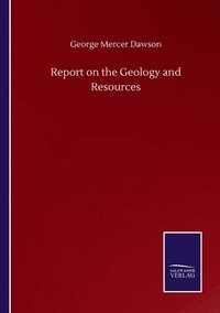 bokomslag Report on the Geology and Resources