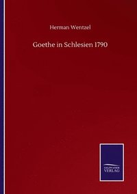 bokomslag Goethe in Schlesien 1790