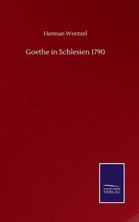 bokomslag Goethe in Schlesien 1790