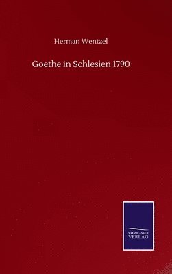 bokomslag Goethe in Schlesien 1790