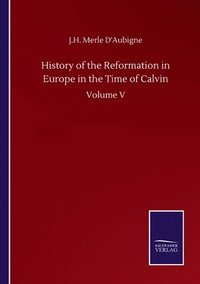 bokomslag History of the Reformation in Europe in the Time of Calvin