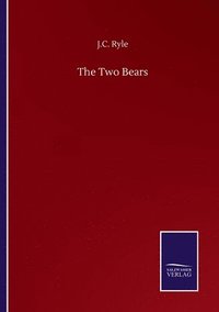 bokomslag Two Bears