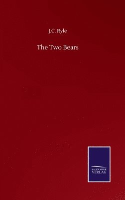 bokomslag Two Bears