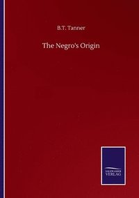 bokomslag Negro's Origin