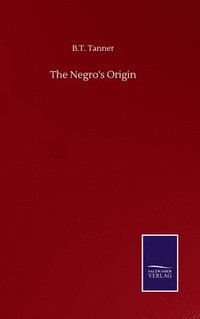 bokomslag Negro's Origin