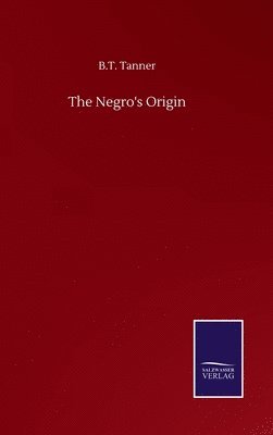 bokomslag The Negro's Origin