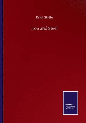 bokomslag Iron and Steel