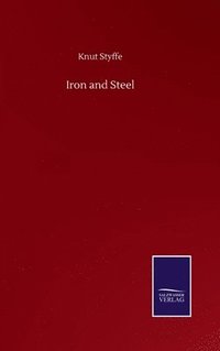 bokomslag Iron and Steel