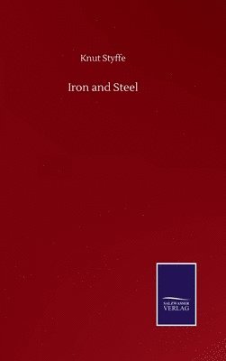 bokomslag Iron and Steel