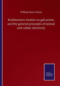 bokomslag Rudimentary treatise on galvanism, and the general principles of animal and voltaic electricity