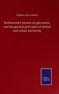 bokomslag Rudimentary treatise on galvanism, and the general principles of animal and voltaic electricity