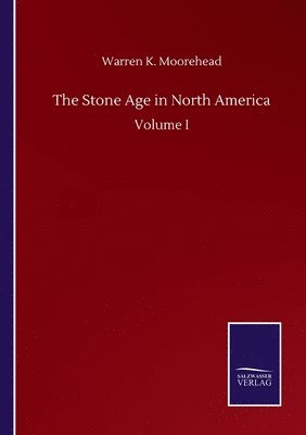 bokomslag Stone Age in North America