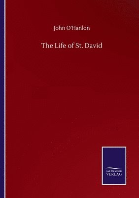 bokomslag The Life of St. David