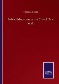 bokomslag Public Education in the City of New York